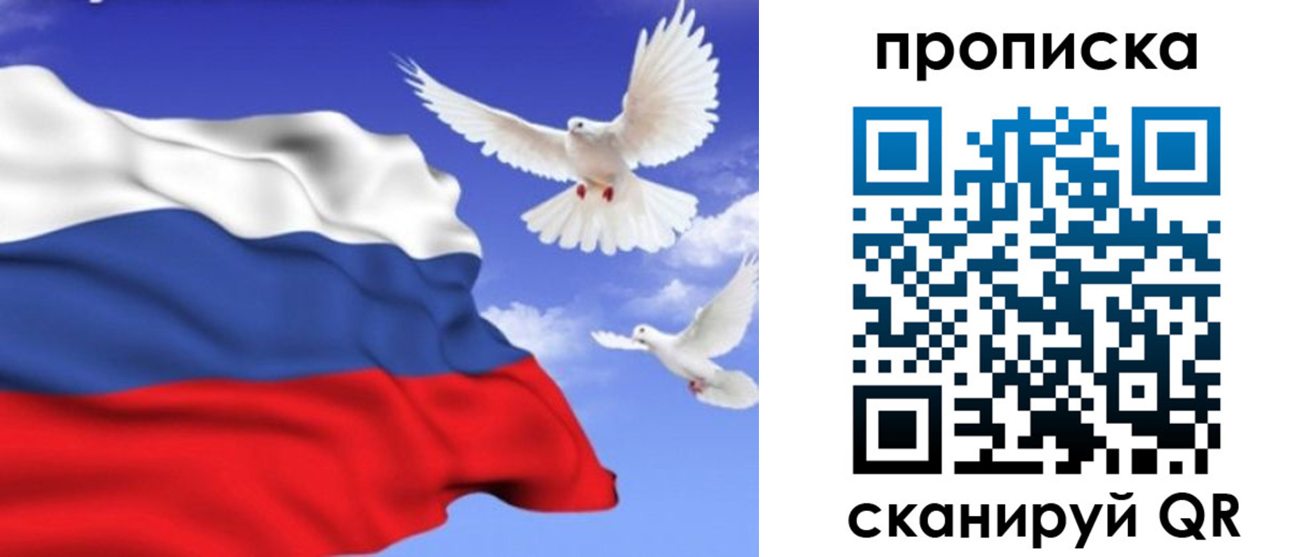 временная регистрация гарантия в Нововоронеже